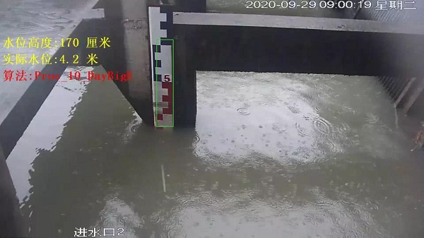 新澳门2024免费原料