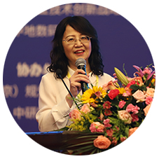 新澳门2024免费原料