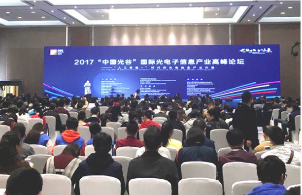 新澳门2024免费原料