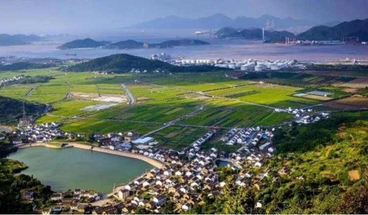 新澳门2024免费原料