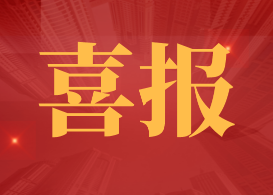 新澳门2024免费原料
