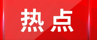 新澳门2024免费原料