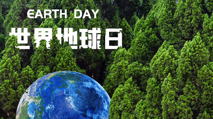 新澳门2024免费原料
