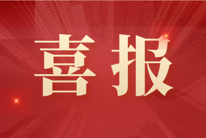 新澳门2024免费原料
