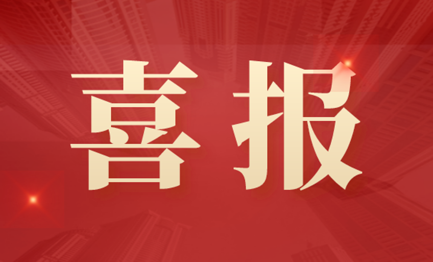 新澳门2024免费原料