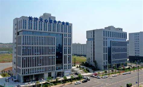 新澳门2024免费原料