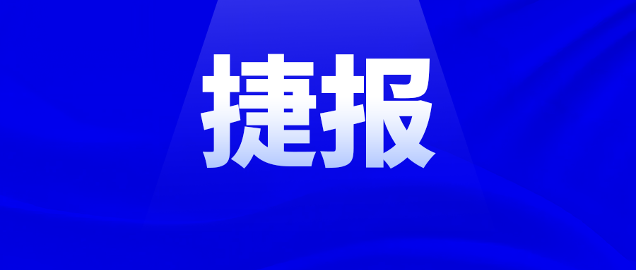 新澳门2024免费原料